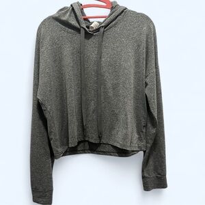 Marika Gray Crop Hoodie Long Sleeve Relaxed Fit